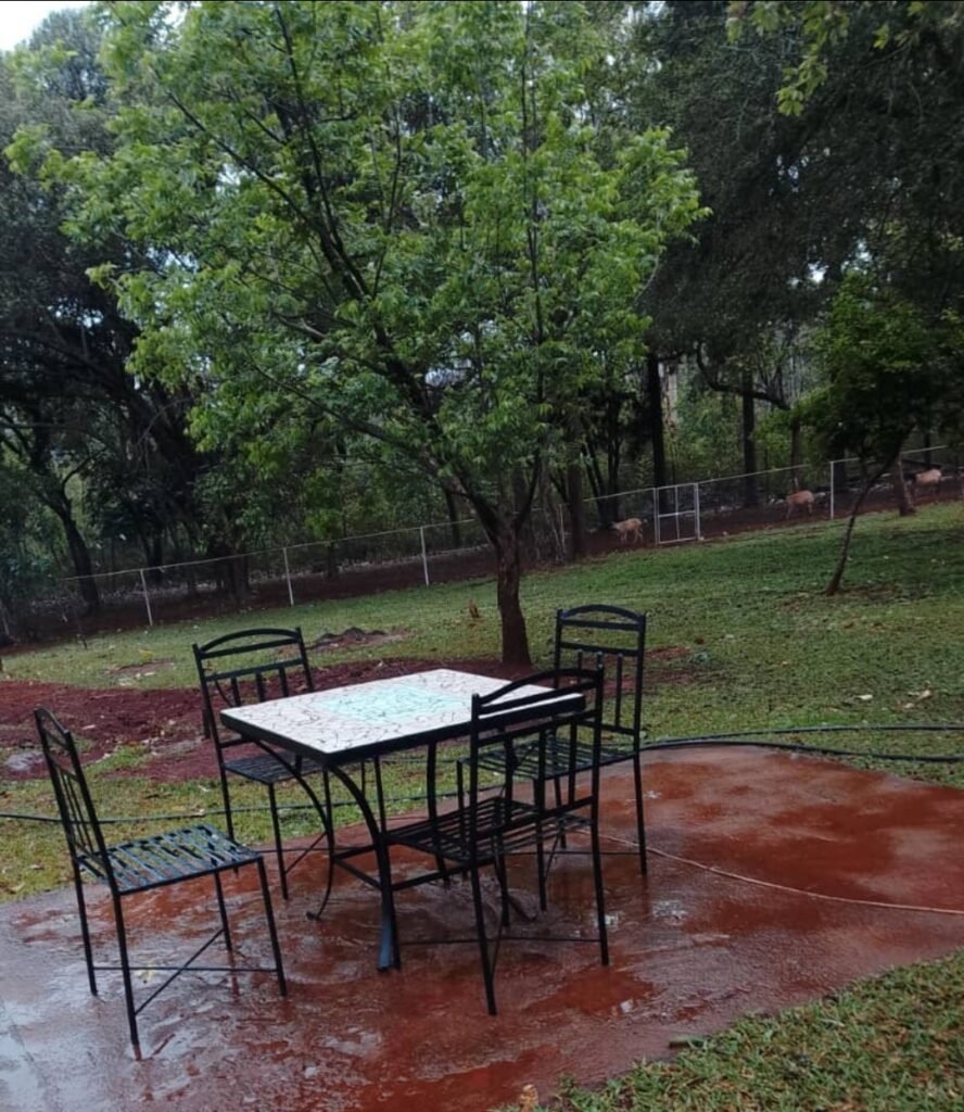 Peaceful outdoor seating and garden area at our self-catering guest lodge in Masvingo.